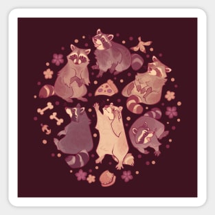 Raccoons! Sticker